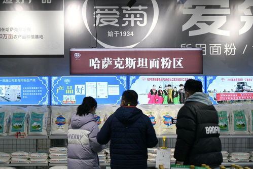 鏡觀·回響 中哈物流十年見證——西行東進，互聯互通下的貨物與技術進出口新篇章